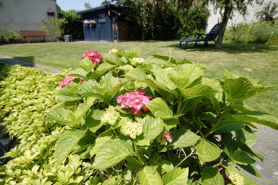 17. Impression Einfamilienhaus Heinsberg